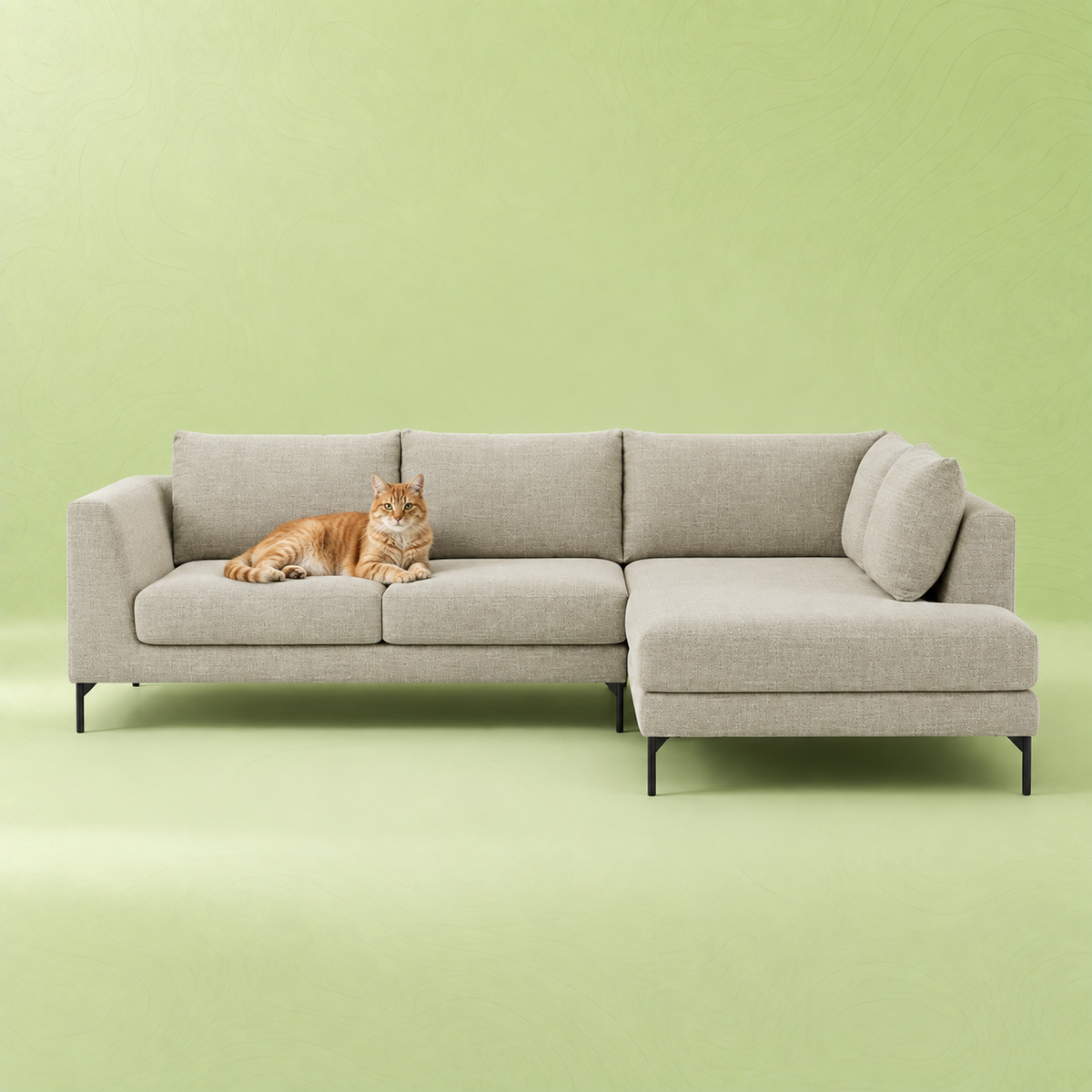 Orangefarbene Katze auf einem hellgrauen Stoffsofa – Fellstopp eignet sich zur Entfernung von Katzenhaaren auf Polstermöbeln.