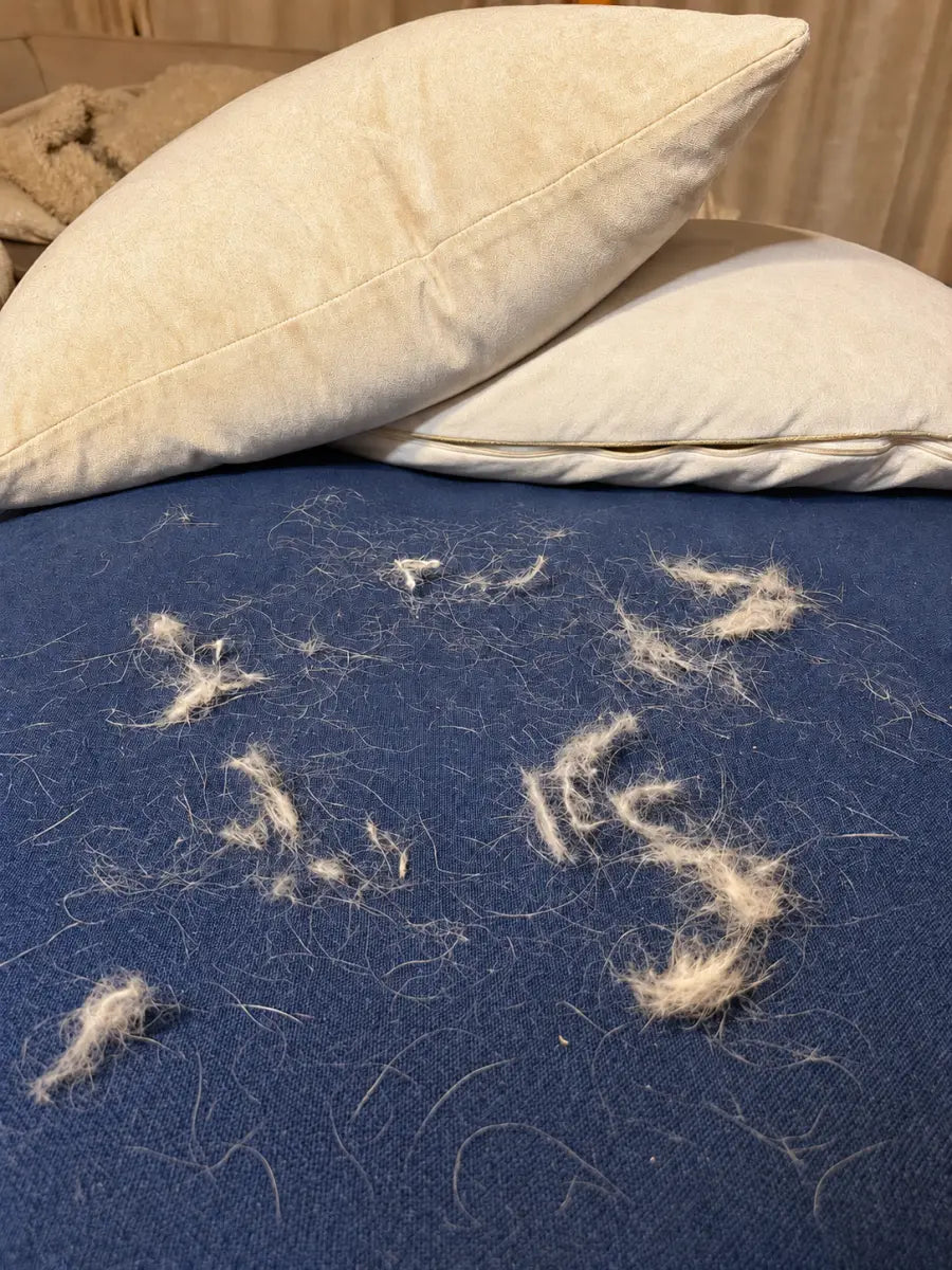 Hunde- und Katzenhaare auf einem blauen Sofa vor der Reinigung mit dem Fellstopp Tierhaarentferner