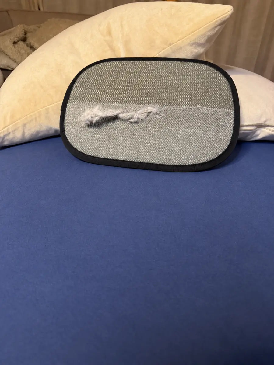 Blaues Sofa nach der Reinigung, der Fellstopp Tierhaarentferner-Handschuh hält die aufgenommenen Tierhaare