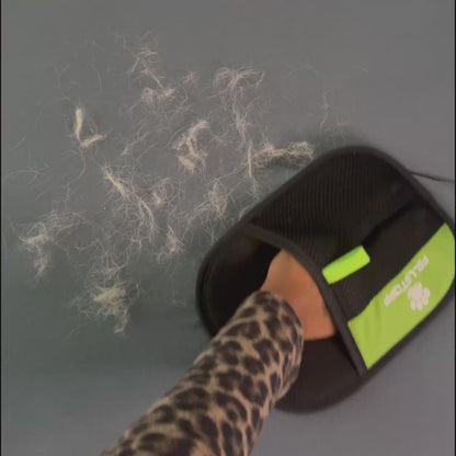Anwendungsvideo des Fellstopp Tierhaarentferner-Handschuhs beim Entfernen von Hunde- und Katzenhaaren auf Sofa, Kleidung oder anderen Oberflächen.
